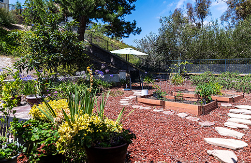 1100 Santa Delphina Ave.  Chula Vista, CA 91913